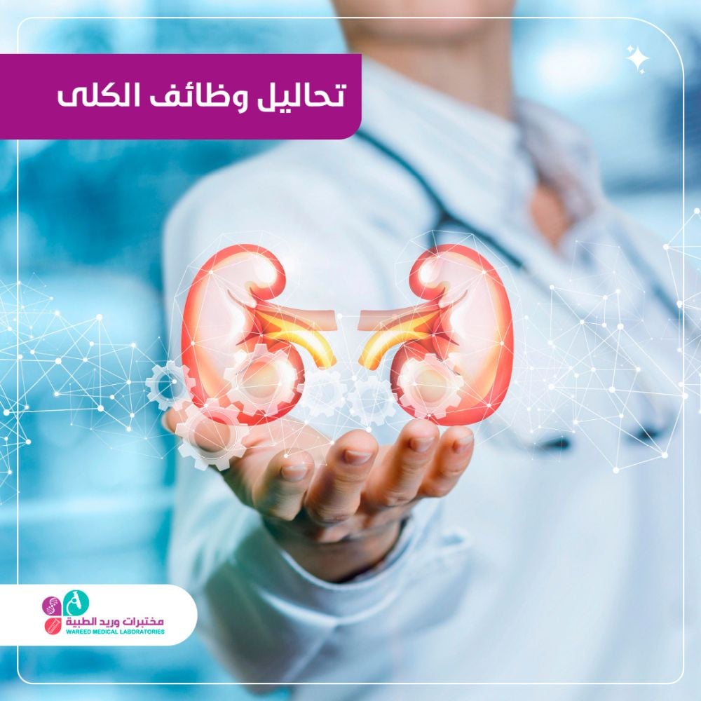 فهم تحاليل وظائف الكلى وأهميتها